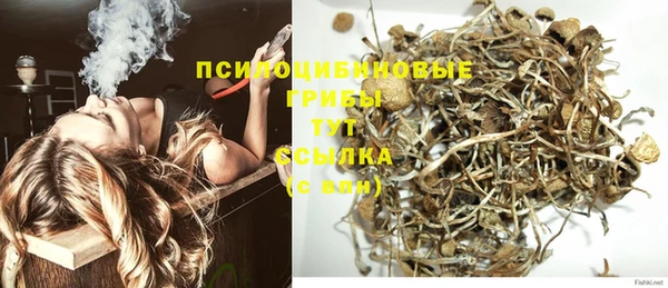 первитин Алексеевка