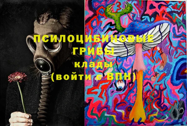 эйфоретик Алзамай