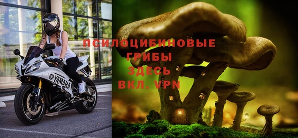 эйфоретик Алзамай
