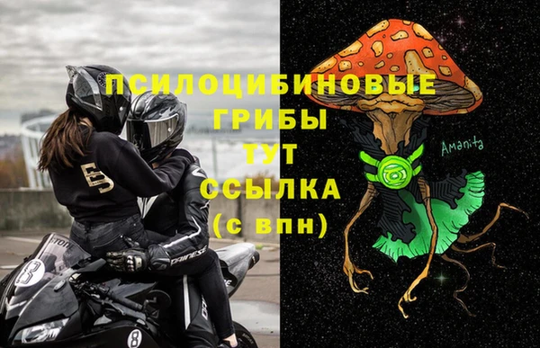 ECSTASY Алексин