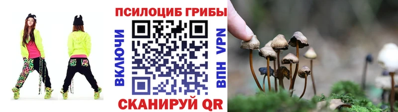 Псилоцибиновые грибы MAGIC MUSHROOMS  Чусовой 